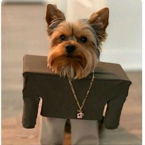 Meet your Posher, Jason